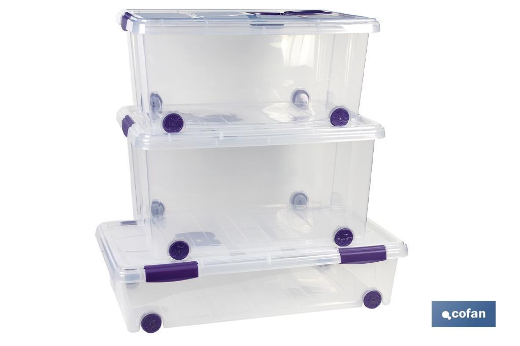 CAJA ORDENACION CON RUEDAS 36L MODELO RICORDI 59X40X25cm