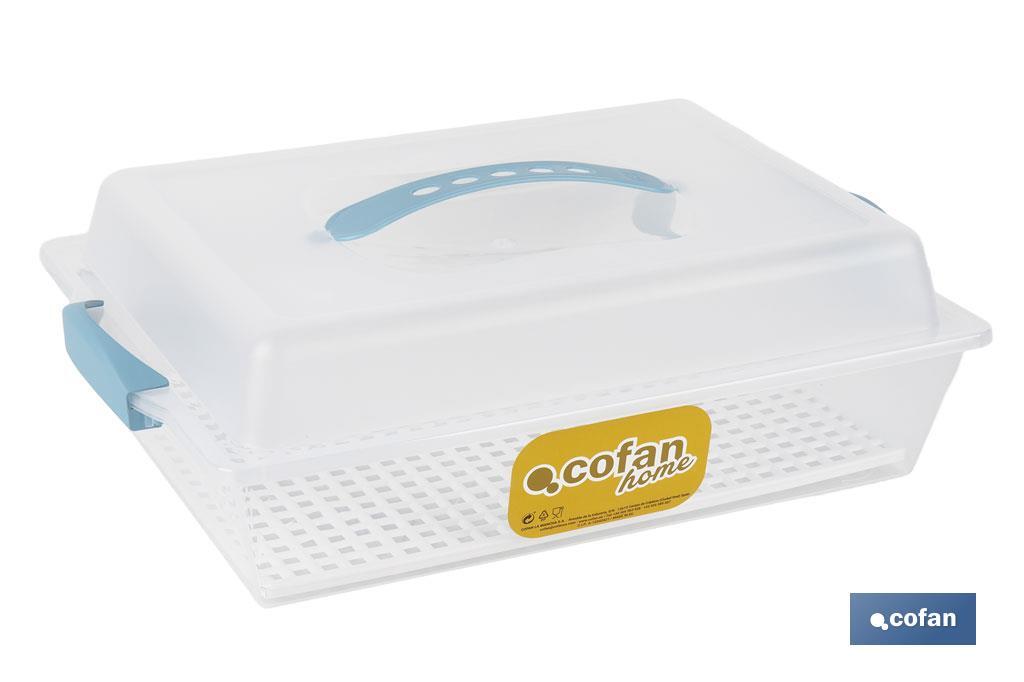TARTERA RECTANGULAR AZUL OPACA PAVLOVA CON ASAS 38 X 28 X 13 CM